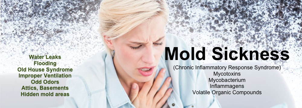 Mold Inspection Mold Sickness